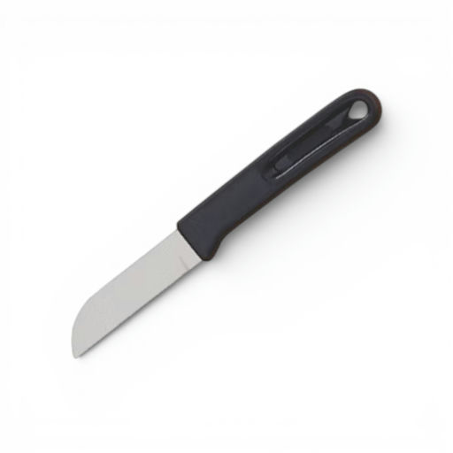 Stainless Steel Round End Paring Knife on Card – 6 in – by Richard