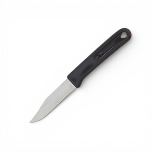 Stainless Steel Pointed End Paring Knife on Card – 6 in – by Richard