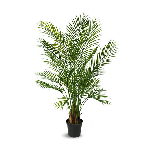 Areca Palm – L: 28 in x W: 28 in x H: 59 in – by Le Présent