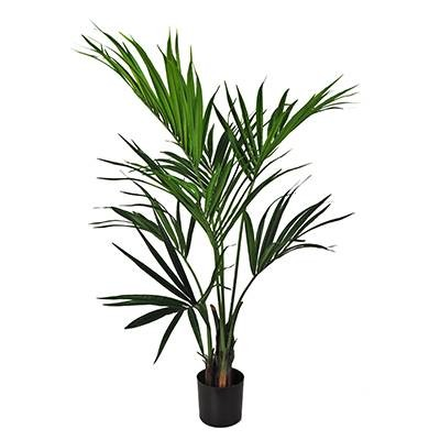 Kentia Palm – L: 28 in x W: 28 in x H: 48 in – by Le Présent