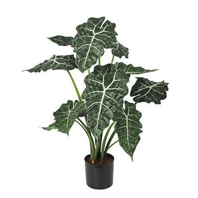 Alocasia – L: 26 in x W: 26 in x H: 36 in – by Le Présent