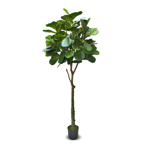 Fiddle Leaf Fig Tree – L: 32 in x W: 32 in x H: 72 in – by Le Présent