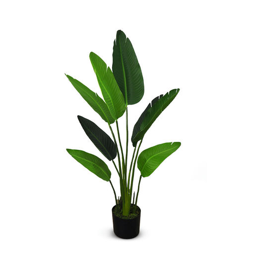 Travellers Palm – L: 36 in x W: 36 in x H: 47 in – by Le Présent