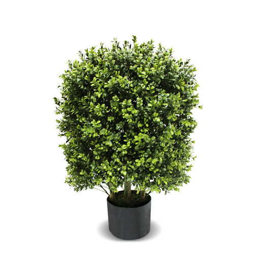 Arbre Boxwood – L: 20 in x W: 20 in x H: 27.5 in
