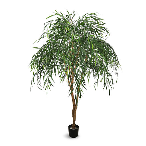 Willow Tree – L: 60 in x W: 60 in x H: 60 in – by Le Présent