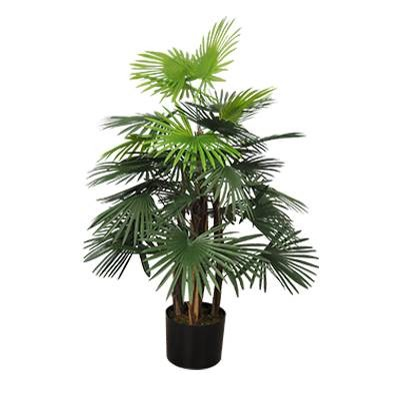 Fortune Palm – L: 27 in x W: 27 in x H: 36 in – by Le Présent