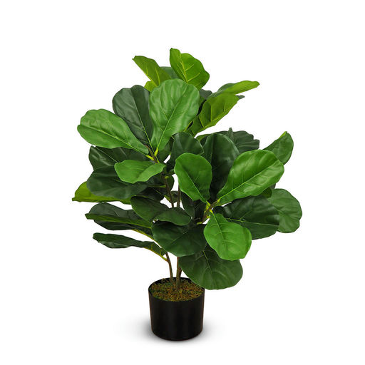 Fiddle Leaf (L: 28 in x W: 28 in x H: 30 in) – by Le Présent