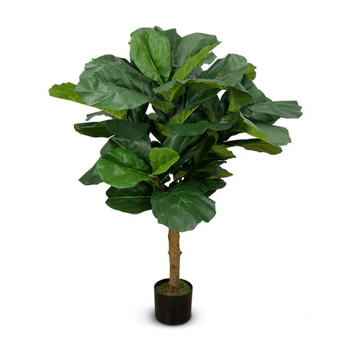 Fiddle Leaf (L: 38 in x W: 42 in x H: 51 in) – by Le Présent