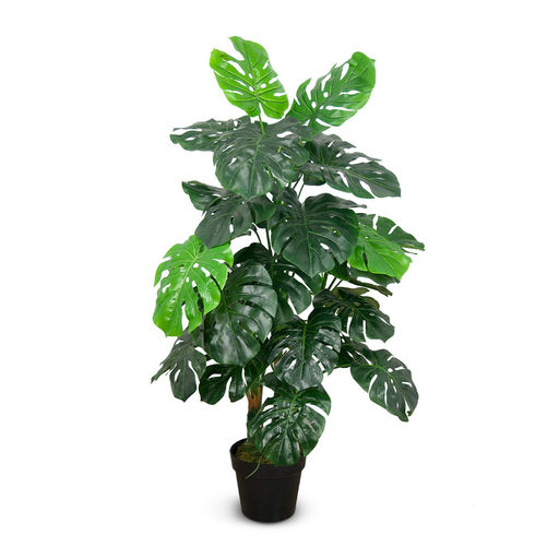 Monstera – L: 32 in x W: 32 in x H: 48 in – by Le Présent