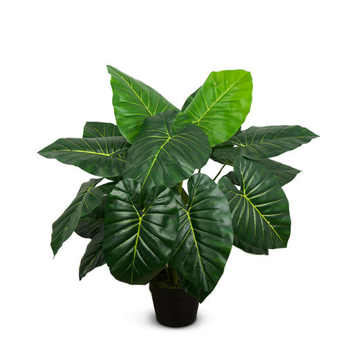 Taro – L: 34 in x W: 34 in x H: 33 in – by Le Présent