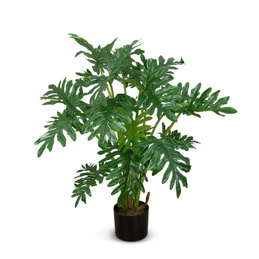 Philodendron (L: 42 in x W: 42 in x H: 38 in) – by Le Présent