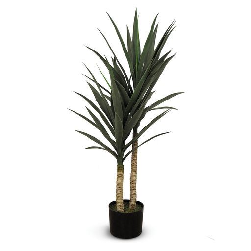Yucca (L: 21 in x W: 21 in x H: 43 in)