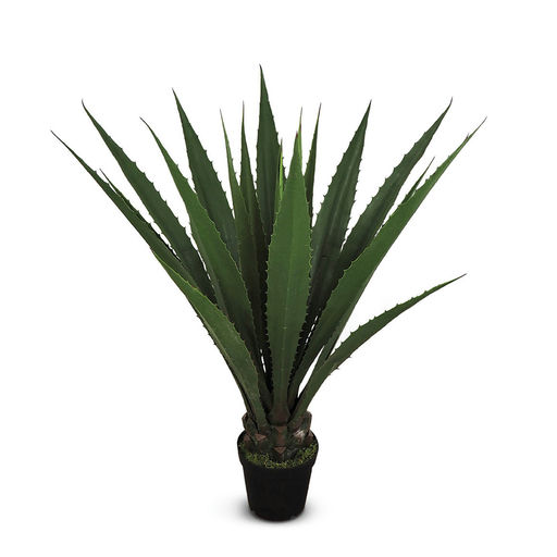 Agave (L: 27 in x W: 27 in x H: 53 in)