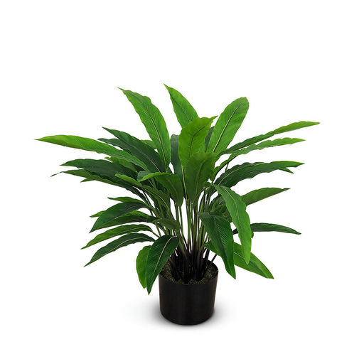 Calathea (L: 23 in x W: 23 in x H: 22 in) – by Le Présent