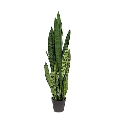 Sansevieria (L: 16 in x W: 16 in x H: 42 in) – SKU L2070 – by Le Présent