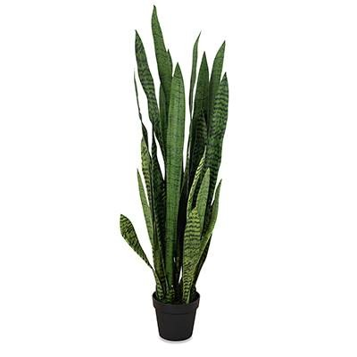 Sansevieria (L: 20 in x W: 20 in x H: 52 in) – SKU L2075 – by Le Présent