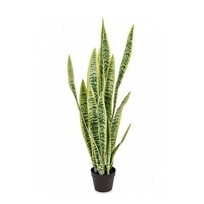Sansevieria (L: 16 in x W: 16 in x H: 42 in) – SKU L2085 – by Le Présent