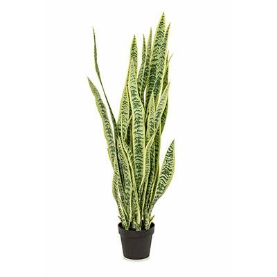 Sansevieria (L: 20 in x W: 20 in x H: 52 in) – SKU L2090 – by Le Présent