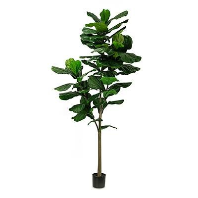 Figuier (L: 38 in x W: 38 in x H: 85 in) – by Le Présent