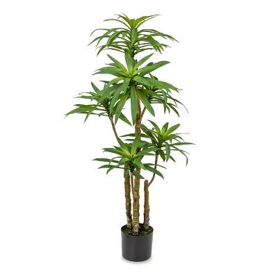 Dracaena – L: 27 in x W: 27 in x H: 51 in – by Le Présent
