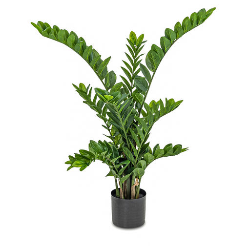 Zamifolia (L: 41 in x W: 41 in x H: 44 in) – by Le Présent