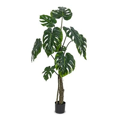 Split Philo (L: 33 in x W: 33 in x H: 47 in) – SKU L2265 – by Le Présent