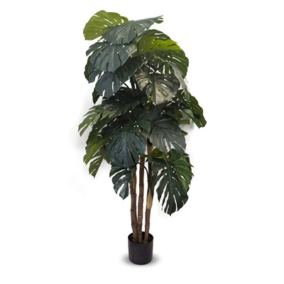Split Philo (L: 33 in x W: 33 in x H: 47 in) – SKU L2266 – by Le Présent