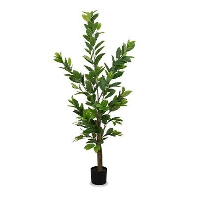 Lemon Tree (L: 25 in x W: 25 in x H: 62 in) – by Le Présent