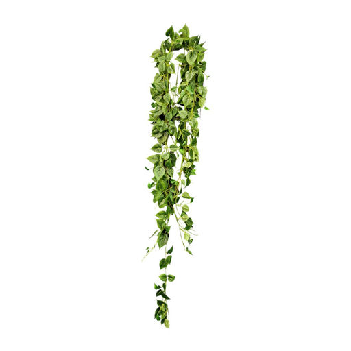 Philo Hanging Bush – L: 11 in x W: 11 in x H: 66 in – by Le Présent