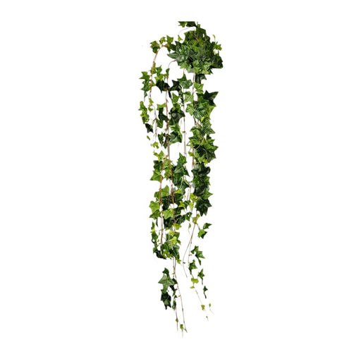 Mini Ivy Hanging – L: 7 in x W: 7 in x H: 64 in – by Le Présent