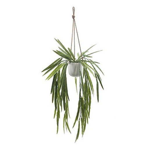 Blanc Pandan – L: 12 in x W: 12 in x H: 24 in – by Le Présent