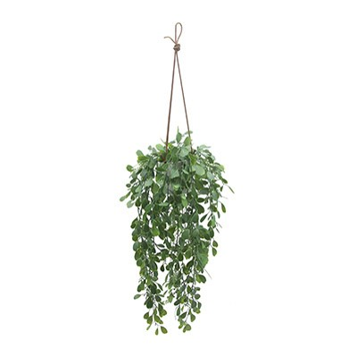 Boxwood – L: 9 in x W: 9 in x H: 22 in – by Le Présent