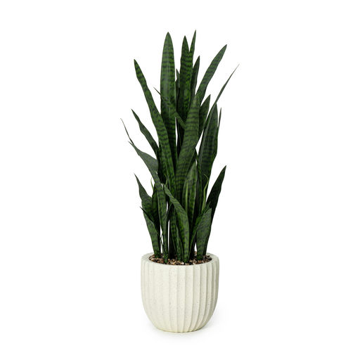 Potted Sansevieria Biege Pot – L: 16 in x W: 16 in x H: 47 in – by Le Présent