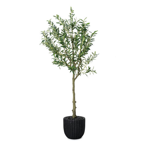 Potted Olive Tree Black Pot – L: 28 in x W: 28 in x H: 72 in – by Le Présent