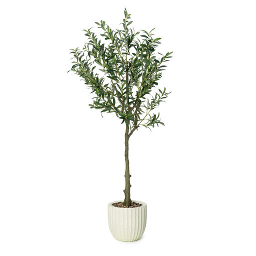 Potted Olive Tree Beige Pot – L: 28 in x W: 28 in x H: 72 in – by Le Présent