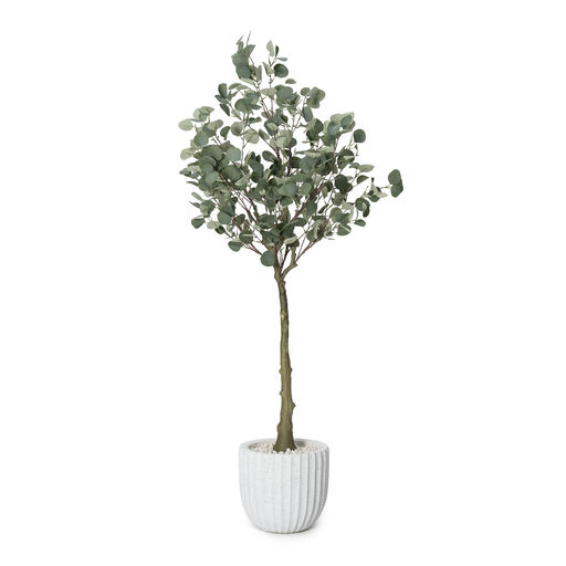 Potted Eucalyptus White Pot – L: 24 in x W: 26 in x H: 69 in – by Le Présent