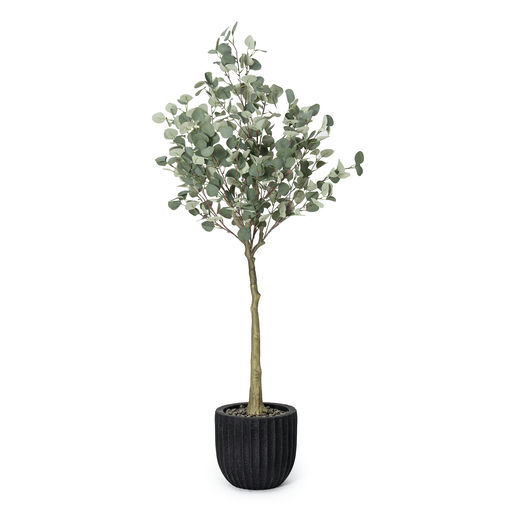 Potted Eucalyptus Black Pot – L: 24 in x W: 26 in x H: 69 in – by Le Présent