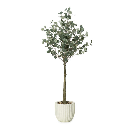Potted Eucalyptus Beige Pot – L: 24 in x W: 26 in x H: 69 in – by Le Présent